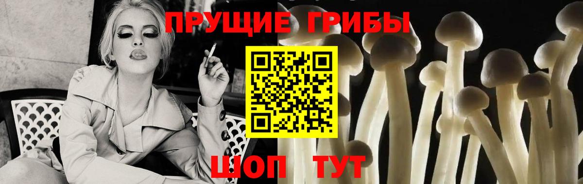 Нягань  Галлюциногенные грибы прущие грибы  Псилоцибиновые грибы ЛСД  закладки  Вход с VPN 